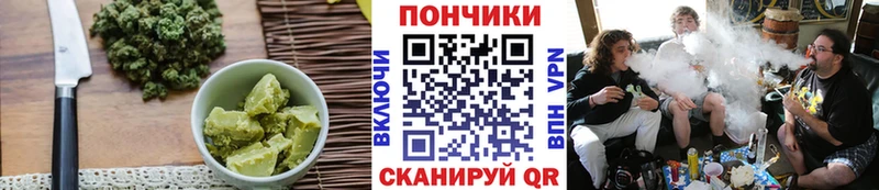 Купить где  Салаир  Canna-Cookies марихуана 