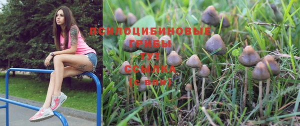 PSILOCYBIN Костерёво