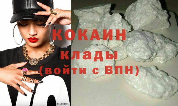 PSILOCYBIN Костерёво