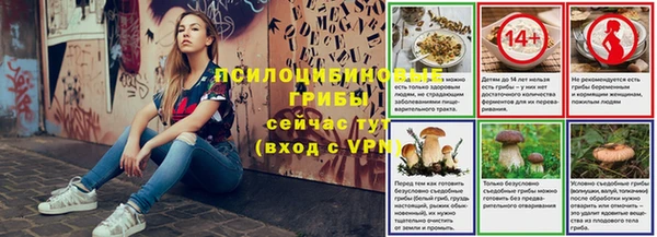 PSILOCYBIN Костерёво