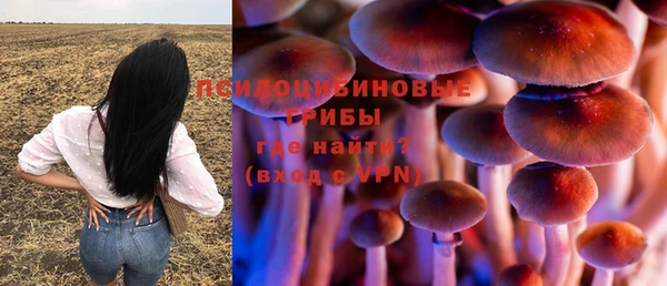 СК Коряжма