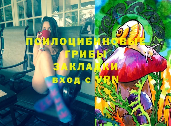 СК Коряжма